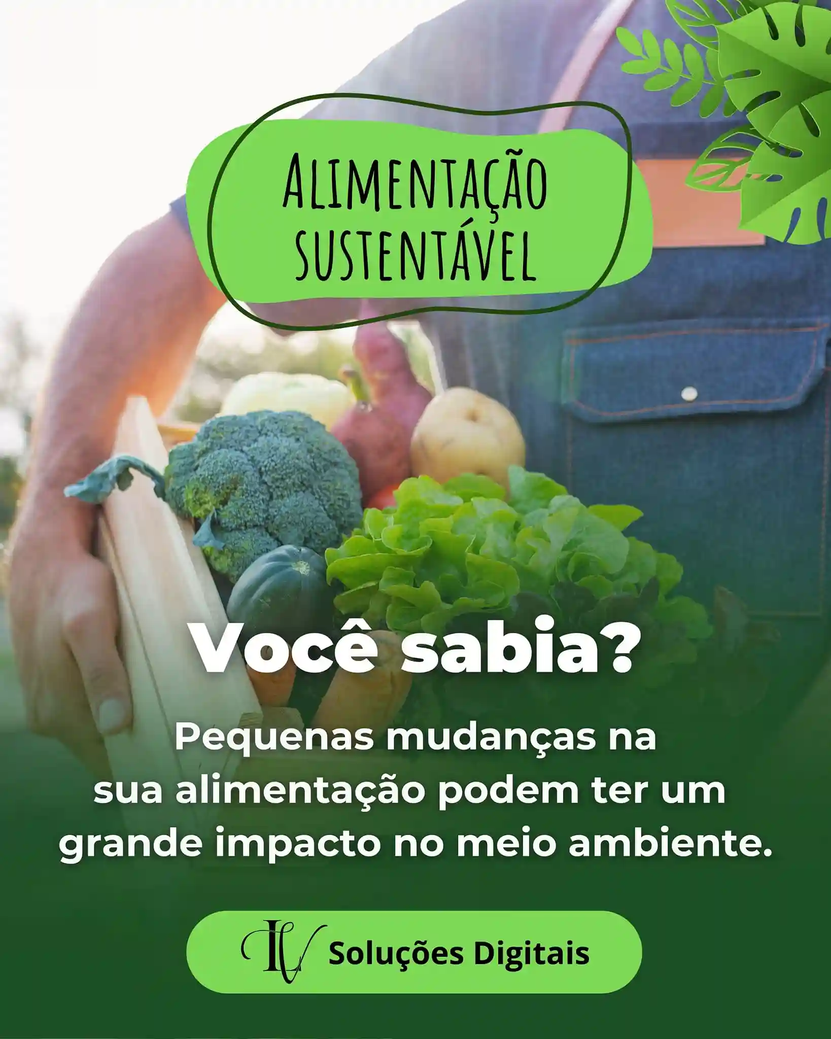 493497036_646788424847554_7152591334330703396_n_4_11zon